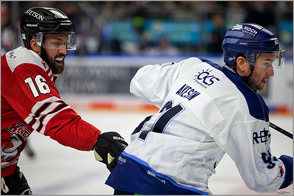 PENNY DEL; Koelner Haie- Straubing Tigers; Koeln, 09.10.2022